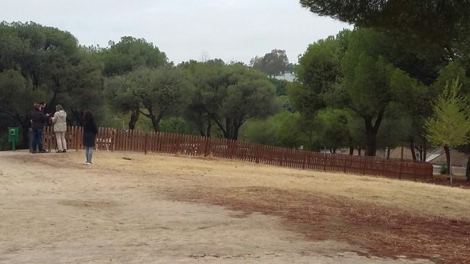 parque-canino-2