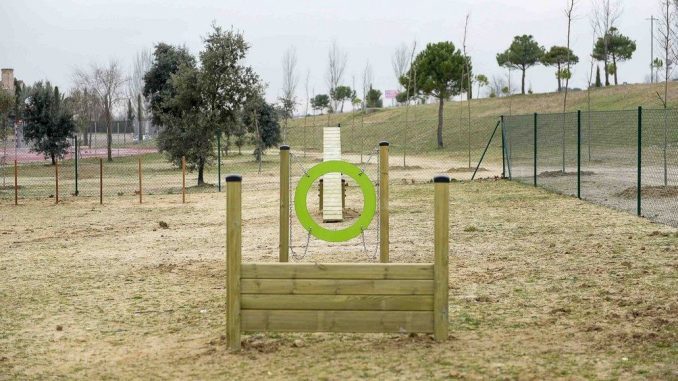 circuito perros