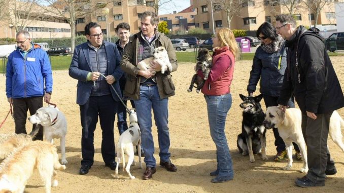 adopción animales Boadilla