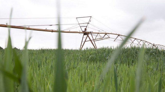 agricultura inteligente