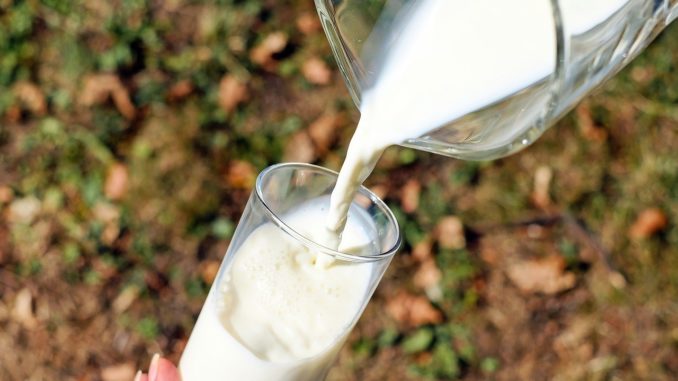 milk_leche