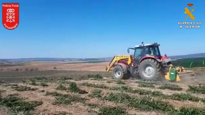 2022-04-13_MARIHUANA_CONJUNTA_NAVARRA_04 (002)