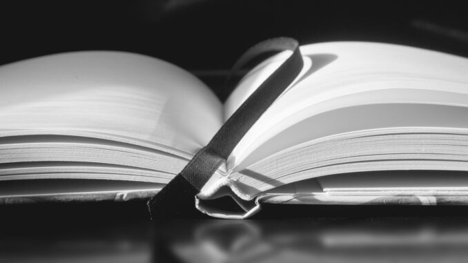 poesía literatura