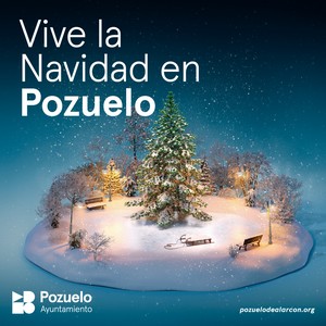 banner Navidad Pozuelo_300x300
