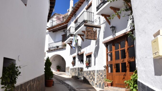 trevelez1