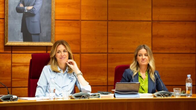 Pleno Pozuelo sep 2023 2