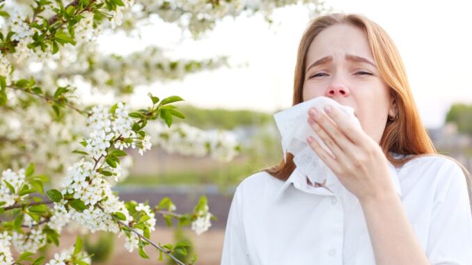 2025 05 19 Las gramíneas y el olivo son los principales responsables de las alergias respiratorias en esta época del año (002)