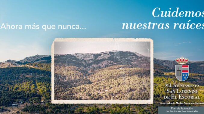 Campaña incendios 2023-redes (002)